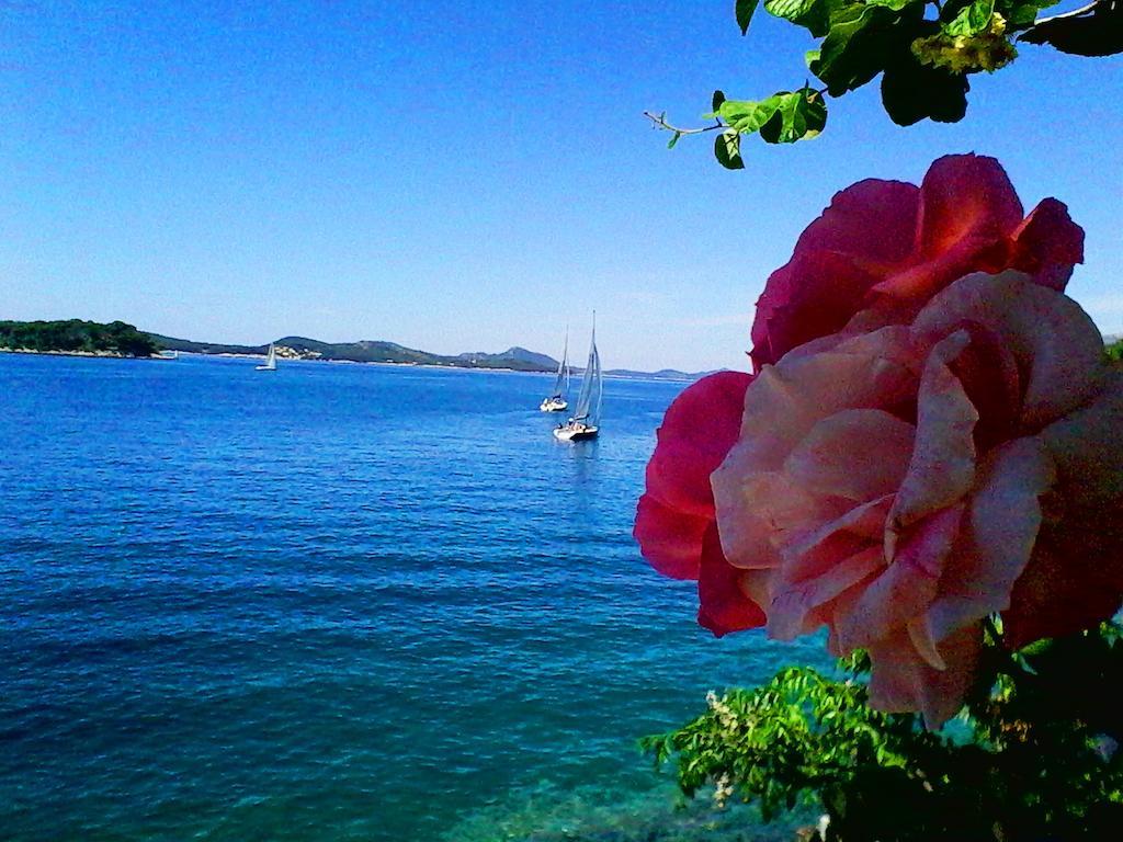 Apartamento Sea Of Eden Dubrovnik Exterior foto