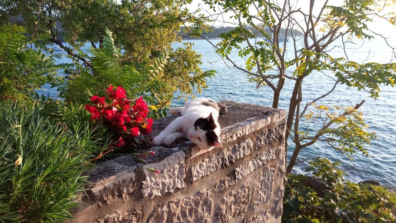 Apartamento Sea Of Eden Dubrovnik Exterior foto